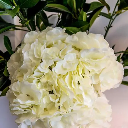 The Modern Apartament *