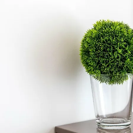 The Modern Apartamento