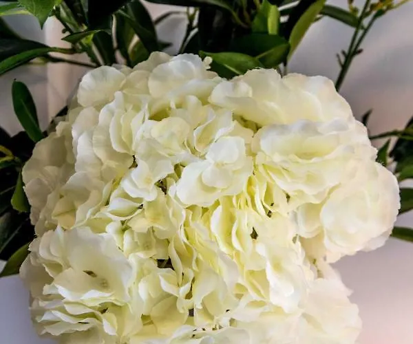 The Modern Lejlighed *