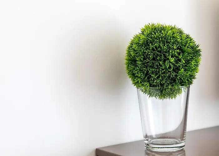 The Modern Lejlighed